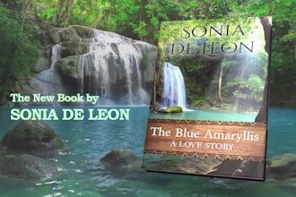 make amazing book trailer or book promo video