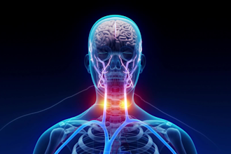 create 3d medical animation and 3d surgical animation for you