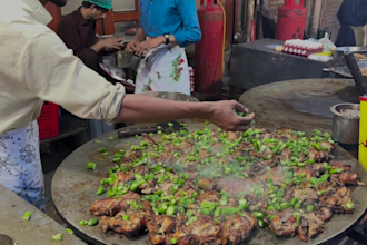 record hd high quality street food videos for your youtube