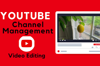 be your certified youtube channel manager, seo video editor