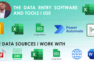 do accurate excel data entry from PDF, websites, word docs