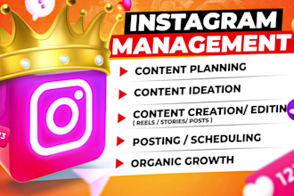 edit reels, provide ideas, manage and grow your instagram
