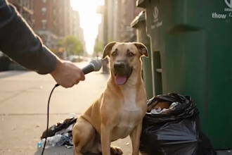 create funny ai talking animal and pet videos for tiktok, youtube and reels