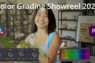 do color correction and color grading your video