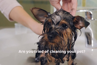 make custom pet care promo video