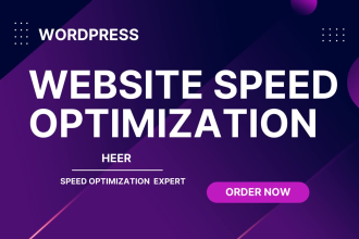 increase wordpress website speed optimization in pagespeed insights