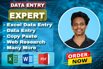 do accurate data entry, web research, copy paste, excel data entry, pdf to excel