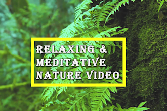 create 10 full HD relaxing nature videos for youtube