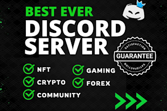 set up professional discord server within less than 24h