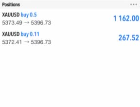 do forex trading bot, forex bot, trading robot, forex ea bot, gold ea, hft bot