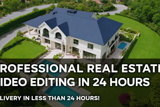 do a professional real estate video editing in 24 hours