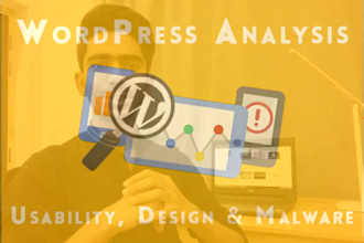 audit entire wordpress website and report problems quickly