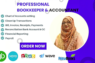 do accounting,  bookkeeping in  quickbooks online, xero, excel