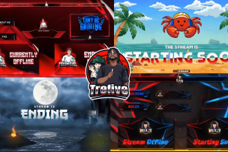 design custom animated twitch overlay, twitch logo, kick transition for streamer