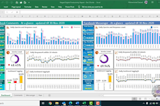 do professional excel dashboard with graphical visualization