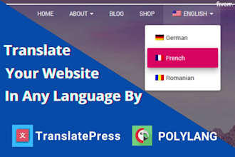 translate wordpress by polylang , translatepress pro plugin
