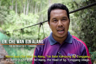 add subtitles, transcribe, translate, and provide srt files in 3 languages
