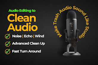 professionally clean, edit, fix and convert your audio file