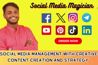 be your professional social media manager to grow your brand