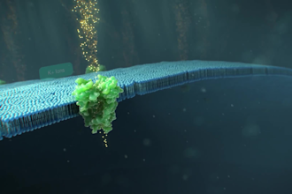 create realistic 3d medical animation, 3d pharmaceutical moa medical animation