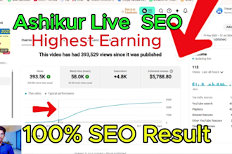 be your youtube video SEO expert and channel growth