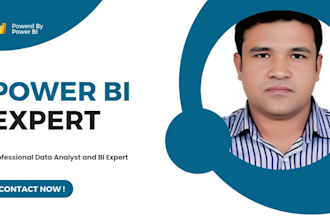 be your power bi expert manager
