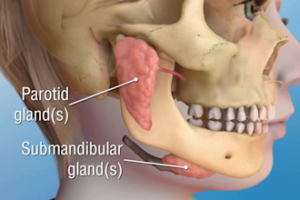 do high quality 3d medical animation video, 3d dental video, 3d dental anatomy
