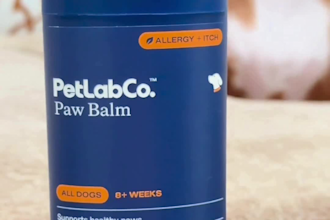 create ugc content for your pet related products