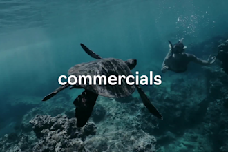 create live action explainer, brand commercial, corporate promotional video ads