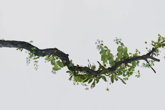 render realistic 3d cgi plant modelling, cgi flower design, 3d plant animation