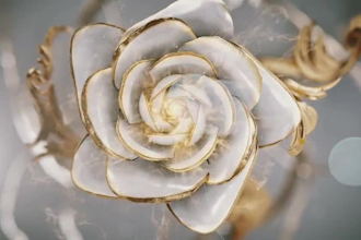 do 3d perfume animation and 3d bottle animation 3d perfume design