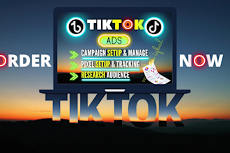 manage and optimize your tiktok ads campaign, tik tok ads, tiktok advertising