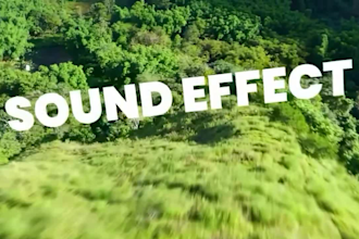 do cinematic travel, vlog, insta360, gopro, drone video editing