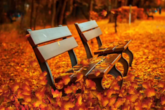 create 20, relaxation music videos with youtube channel