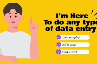 do data entry, web research, data mining and copy paste