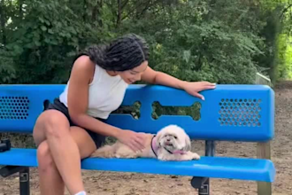 create ugc content for your dog products or pet brand
