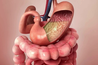 do 3d medical animation pharm moa biotech 3d scientific explainer video