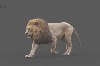 do hyper realistic 3d animal model 3d rigg 3d animation vfx cgi xgen hair fur
