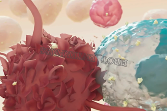 create 3d medical animation video, 3d neonatal medical, anatomy animation