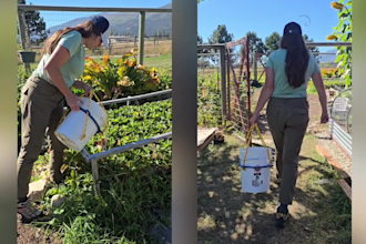 create home, hardware, construction, gardening ugc as a woman