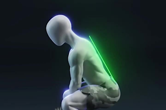do 3d exercise videos, 3d workout animation, 3d anatomy fitness videos, 3d gym