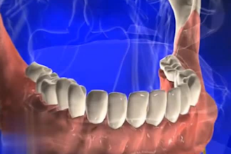 do high quality 3d medical animation video and modeling