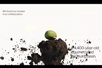 webflow website design 3d spline animation shopify product design webflow cms