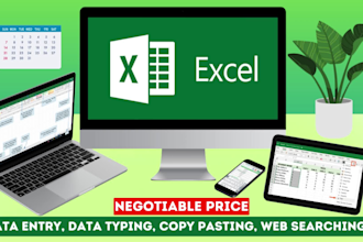 virtual assistant for any data entry, typing and copy paste as ms excel expert