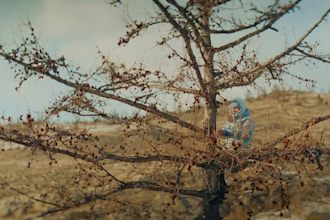 color grade your short film or indie project