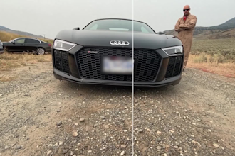 blur face object logo or anything in your video