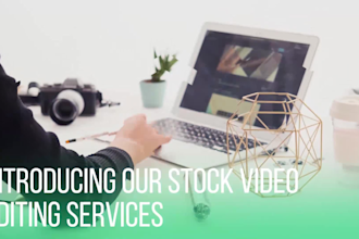 do a promo style video commercial for business