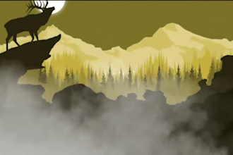 develop 2d 3d wordpress parallax website with elementor pro