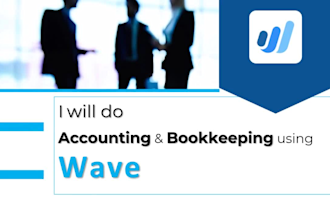 do accounting and bookkeeping using wave accounting software and excel