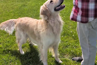 create real, engaging ugc for social,  perfect for dog and outdoor brands